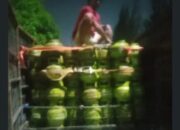 Mafia LPG Subsidi Masih Merajalela, Diminta APH Serius Memberantas Demi Menghindari Kerugian Warga dan Negara