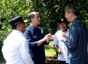 Mentrans: Industri Kelapa Jadi Motor Pertumbuhan Ekonomi Kawasan Transmigrasi
