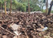 Limbah Sabut Kelapa Disulap Jadi Cocopeat, Dorong Ekonomi Sirkular dan Kepedulian Lingkungan