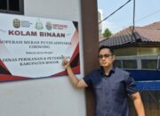 Kajari Kabupaten Bogor Bangun Kolam Binaan Koperasi Merah Putih, Sulap Lahan Kosong Jadi Sumber Pendapatan Pegawai dan Dukung Asta Cita Presiden