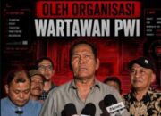 PWI Bawa Bukti Video, Laporkan Hotman Paris atas Dugaan Penghinaan Wartawan