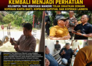 Surat Edaran Sudah Terbit, Mengapa Aktivitas Masih Dipersoalkan? Kelompok Tani Desak Kapolsek Tambusai Utara Bertindak