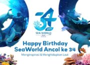 HUT ke-34, Sea World Ancol Perkenalkan Audio Guide Pinalle untuk Perkuat Edukasi Pengunjung